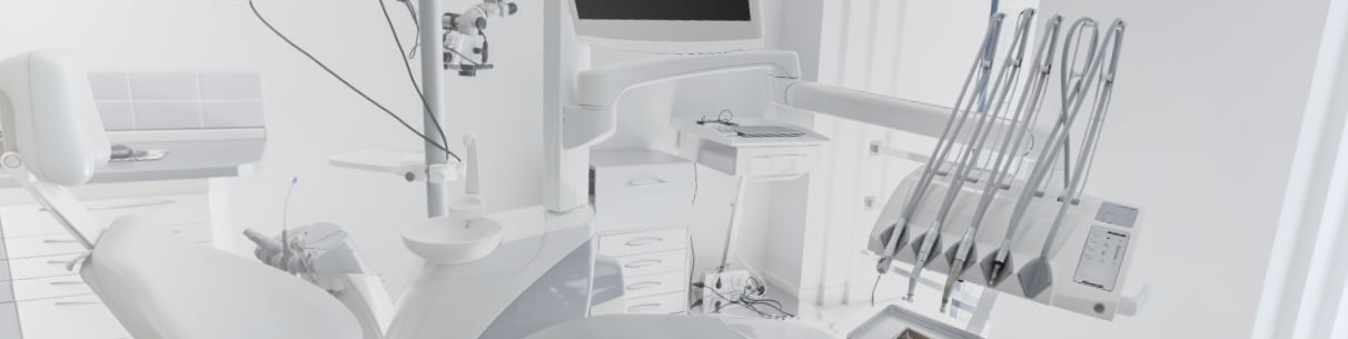 People working on laptops